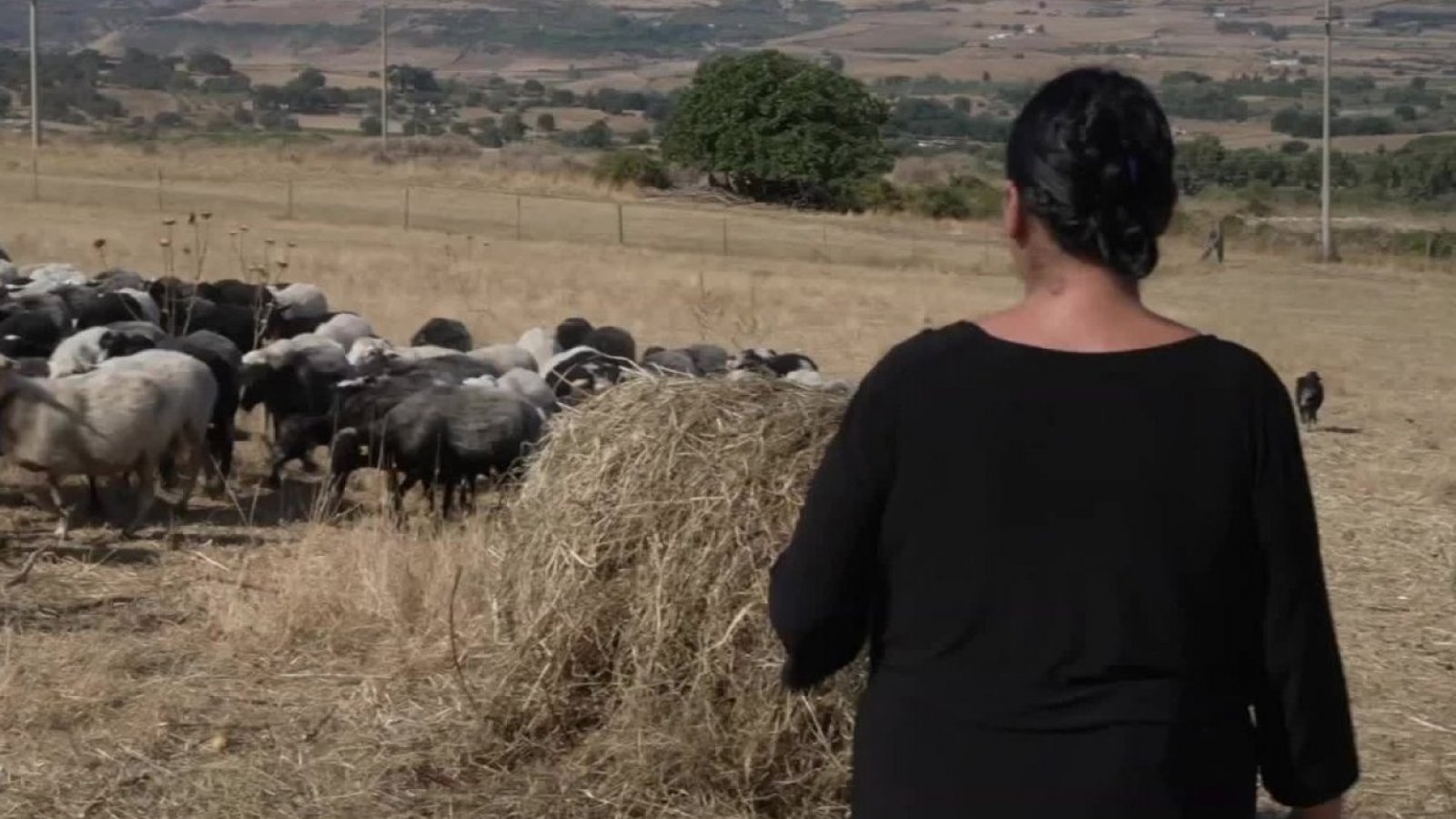 Mira un adelanto del cuarto capítulo de "Adoptados, la historia que nos falta"
