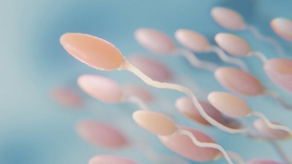 "Espermio estafa": hombre tuvo más de 500 hijos tras donar semen
