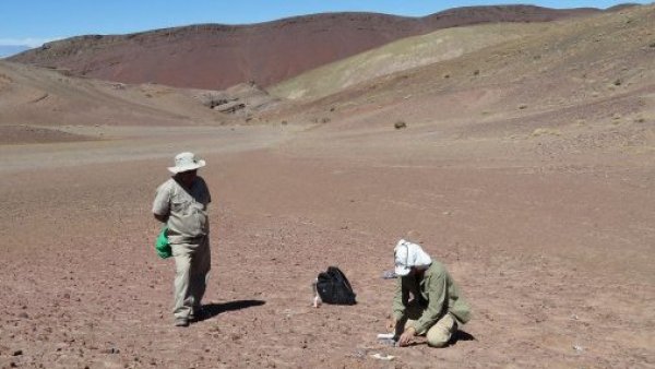 ¡Heces de 240 millones de años! Nuevos hallazgos sobre el origen de la Era de los Dinosaurios en el Desierto de Atacama
