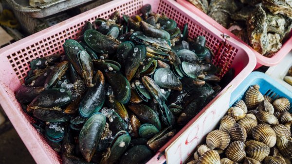 Nutricionista explica en qué debemos fijarnos al comprar productos del mar
