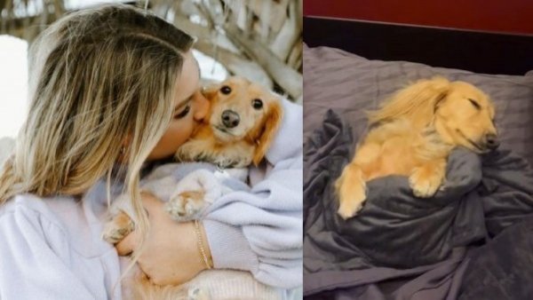 Mujer pagó costoso pasaje en avión a perrita: su respuesta a críticos fue viral
