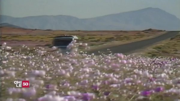 El Desierto Florido en 1992, Atacama
