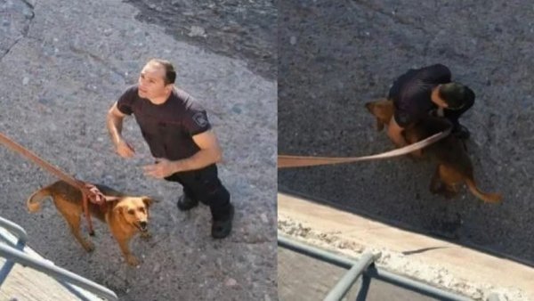 Bomberos rescatan a perro que casi se ahoga tras quedar atrapado en un canal
