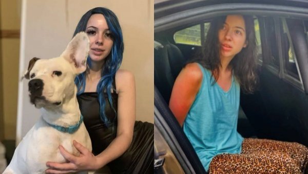 Joven de 19 años abusó de su perro: publicó imágenes en redes sociales
