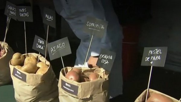 ¡Celebramos la infinitas variedades de la papa!
