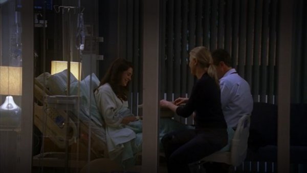 Dr. House Temporada 3 Capítulo 22: Dimisión
