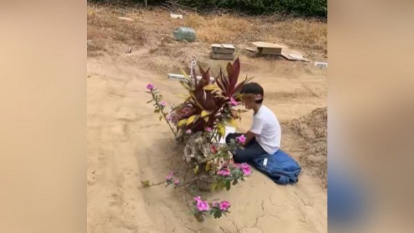 "Me partió el alma": niño hace sus tareas junto a tumba de su madre
