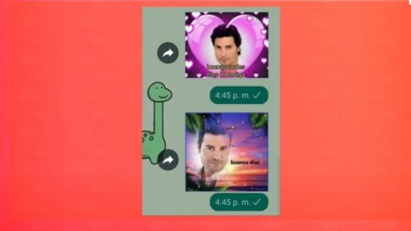 "¡Quiero verlos!" Chayanne se suma al furor de sus stickers en WhatsApp
