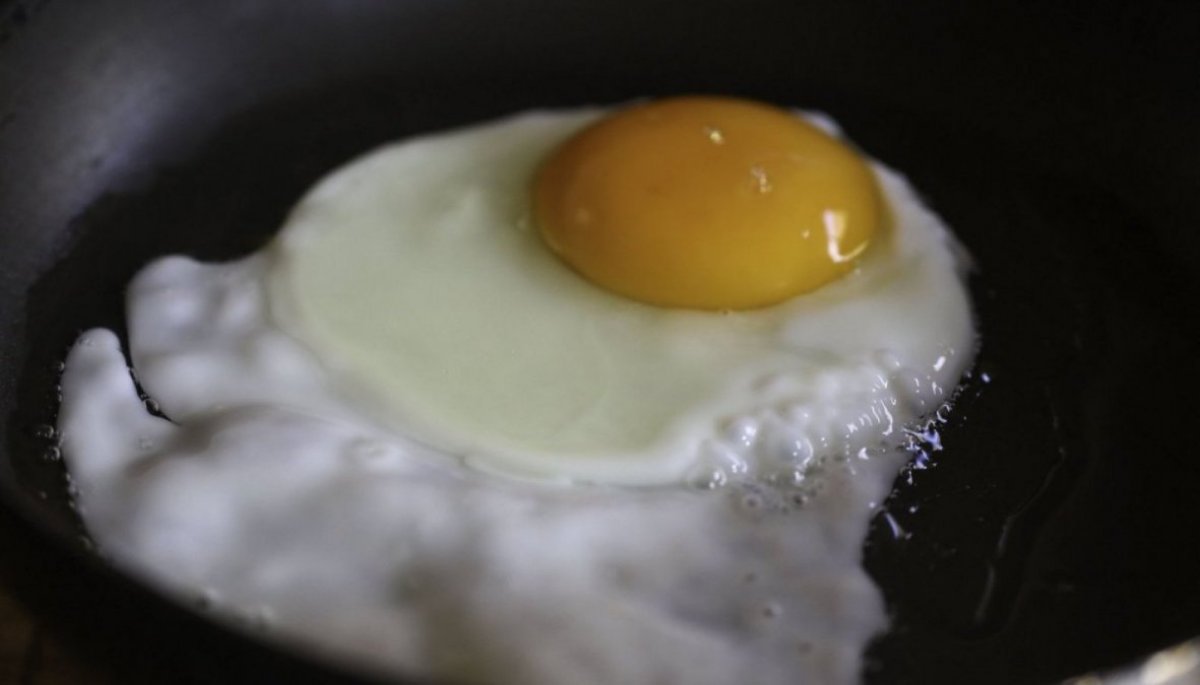 Sicurezza alimentare pollo: rischi e precauzioni Sicurezza alimentare pollo: rischi e precauzioni