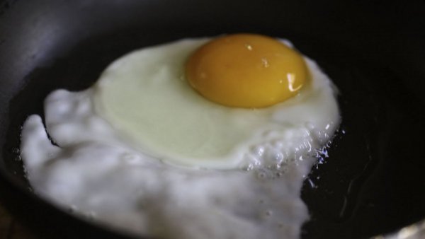 Influenza aviar: Gobierno entrega estrategia ante posible desabastecimiento de pollo y huevos
