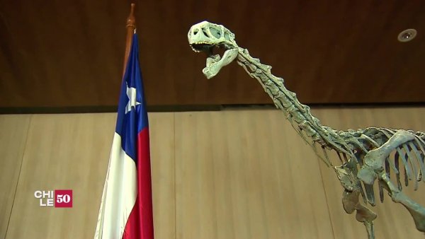 Descubrimiento del Chilesaurio: La reconstrucción de un fósil
