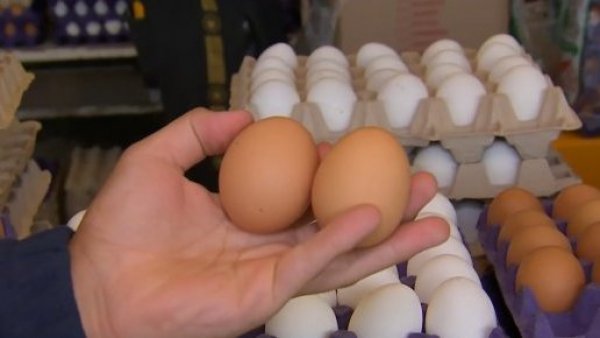 Simón Oliveros nos da el dato del momento: ¿Dónde encontrar los huevos más baratos?
