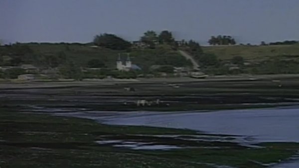 ¿Cómo era Chiloé en el verano 1994?
