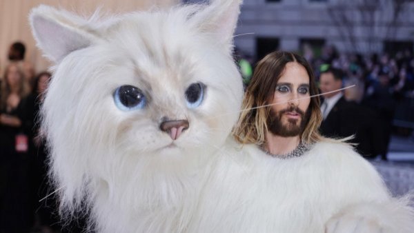 Todo el mundo impactado: Jared Leto se disfraza de gato en la Met Gala
