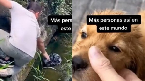Hombre rescató a perrito que estaba a punto de morir en un río y se viraliza en TikTok
