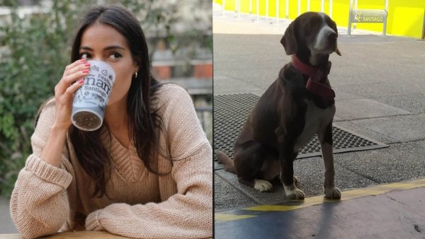 El descargo de Ryann Torrero por abandono de perro en local de votación: "No lo merecen"
