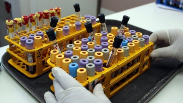 Confirman caso de virus hanta en niña de 10 años en Puerto Montt: menor está en la UCI
