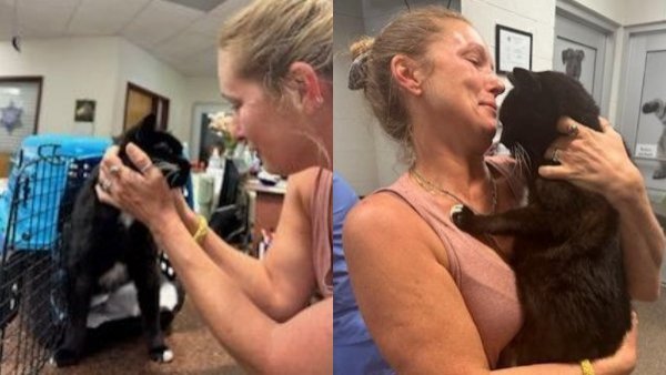 10 años después: el emotivo reencuentro de mujer con su gato desaparecido
