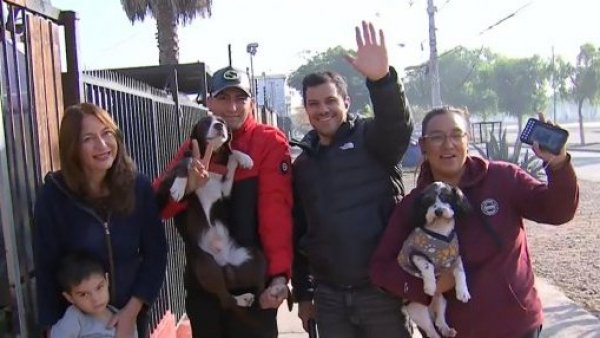 ¡Encontramos a Milo, el perrito más famoso de Maipú!

