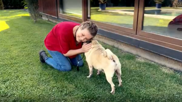 La fiel compañía de los animales de Claudia Conserva
