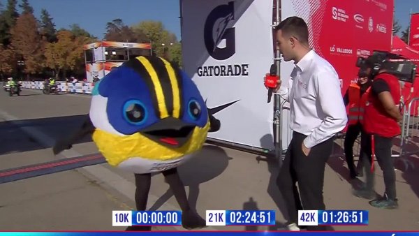 No podía faltar: ¿En cuántos kilómetros se inscribió Fiu en el Maratón de Santiago?
