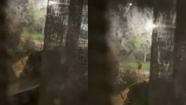 Furor en TikTok: vecina usó sirena policial para ahuyentar a asaltantes
