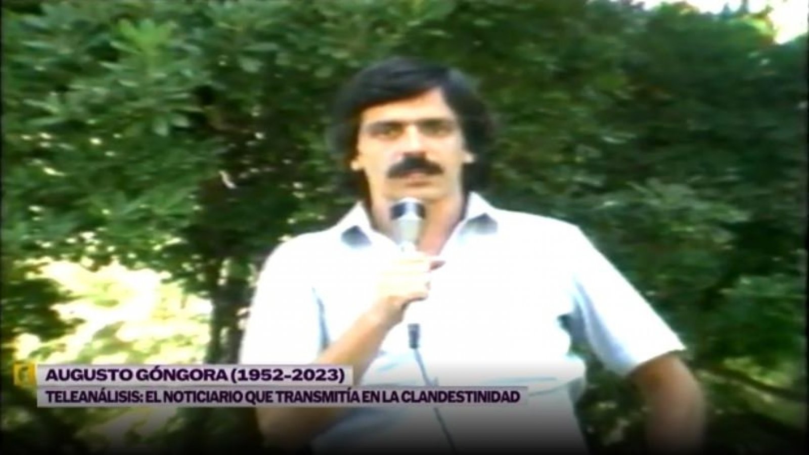 Teleanálisis: El noticiario que sacó la voz en dictadura
