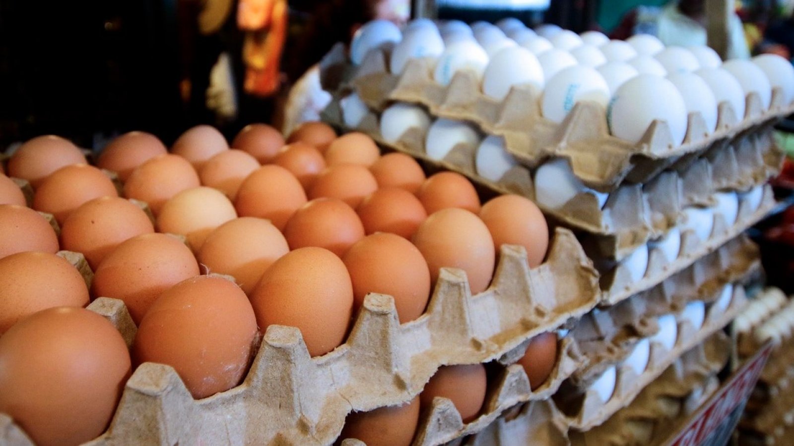 Comerciantes alertan por el huevo: "El precio sube todos los días"
