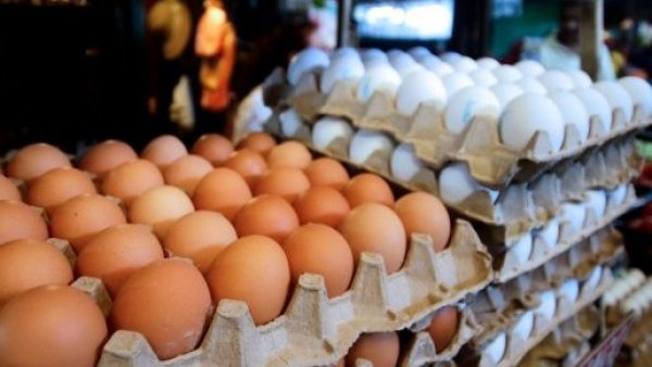 Comerciantes alertan por el huevo: "El precio sube todos los días"
