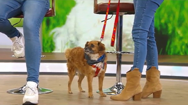 ¡Tenemos noticias de Golfo! Se reencontró con su familia tras 9 meses
