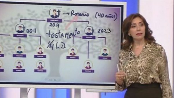 Carmen Gloria a la pizarra: ¿Cómo se conforma esta herencia?
