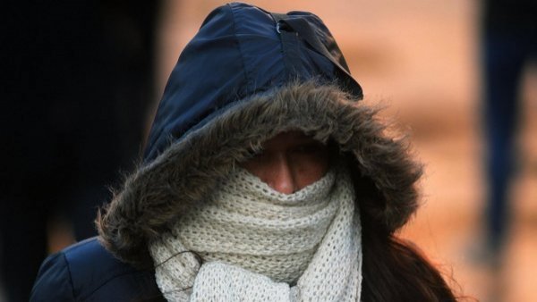 Hasta -7°: Meteorología emite advertencia agrometeorológica por heladas en 9 regiones
