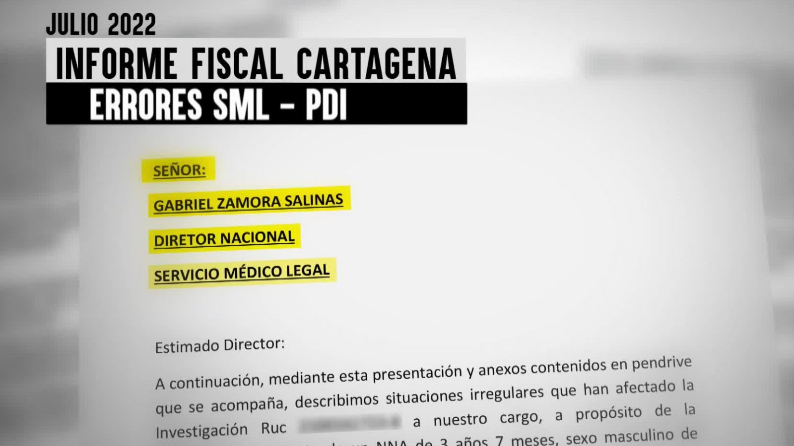 Las omisiones, equivocaciones y negligencias en la investigación del caso Tomás
