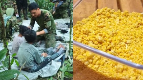 Conoce el superalimento que salvó a los niños encontrados en Colombia
