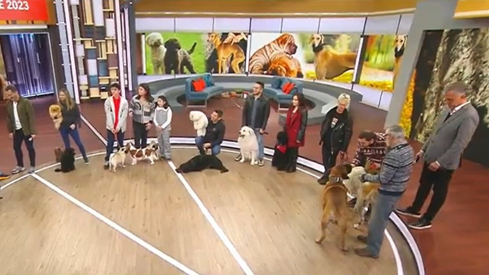 ¡Una ternura! Mira estos hermosos y únicos perritos que visitaron el BDAT
