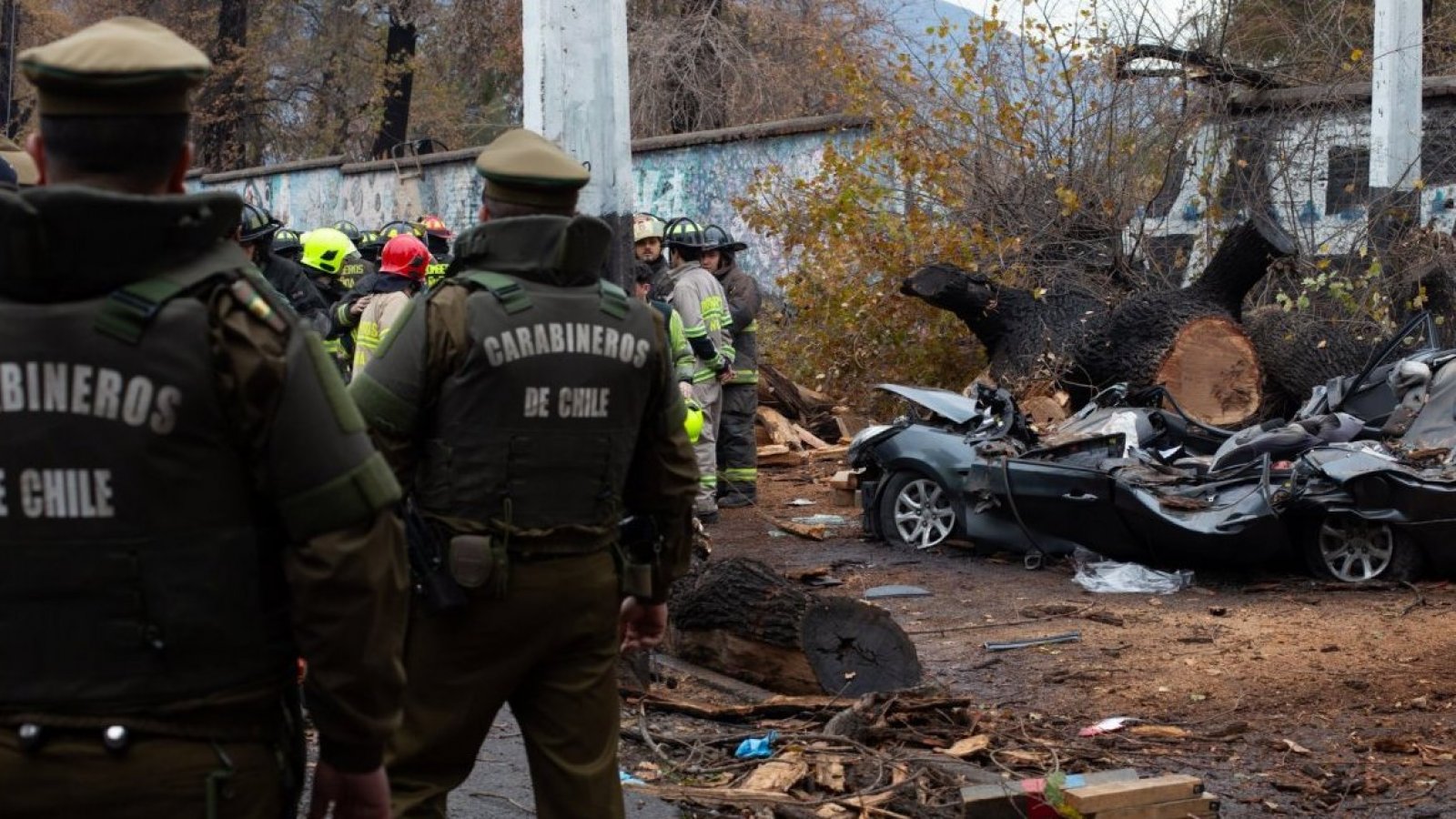 Segunda víctima del sistema frontal: joven mujer muere aplastada por un árbol que cayó sobre su auto
