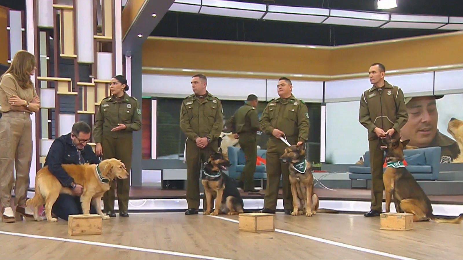 ¡Todos unos héroes! Celebramos los 67 años del Grupo de Adiestramiento Canino
