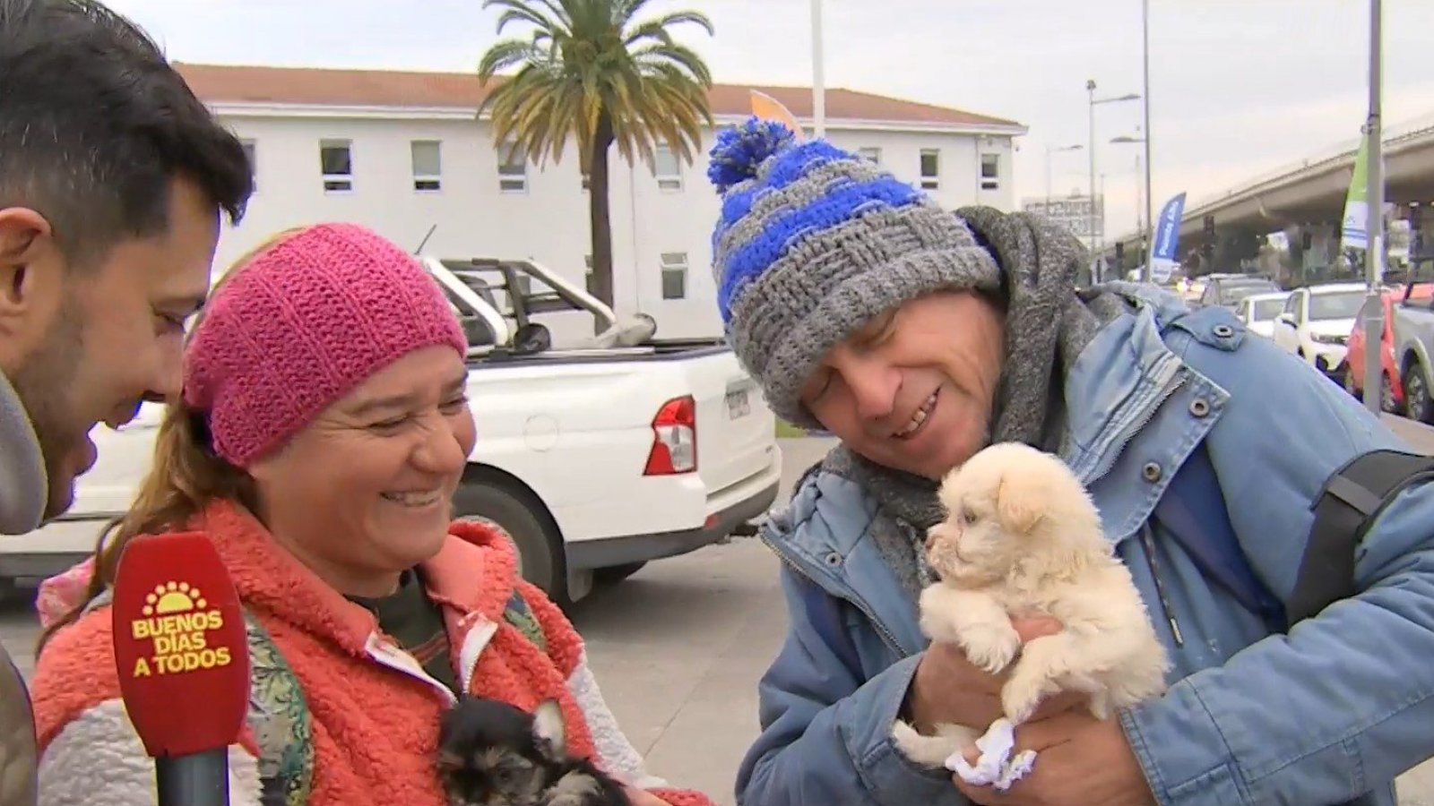 ¡Atención humanos! Puente Alto realiza operativo veterinario para mascotas
