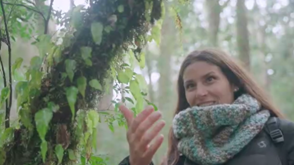¿Cuál es tu huella? | Ecoturismo
