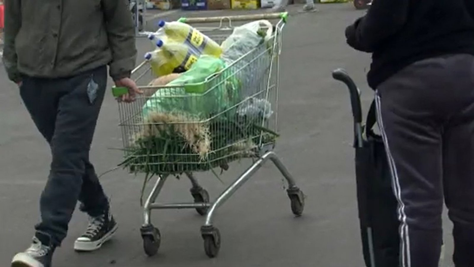 Una mafia de cuatro ruedas: El negocio detrás del robo de carros de supermercado
