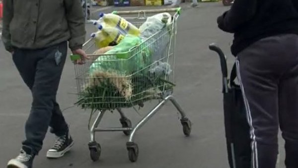 Una mafia de cuatro ruedas: El negocio detrás del robo de carros de supermercado

