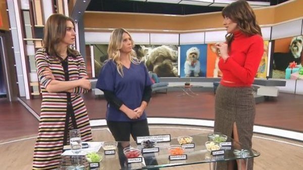 ¿Cuál es el mejor alimento para nuestras mascotas?