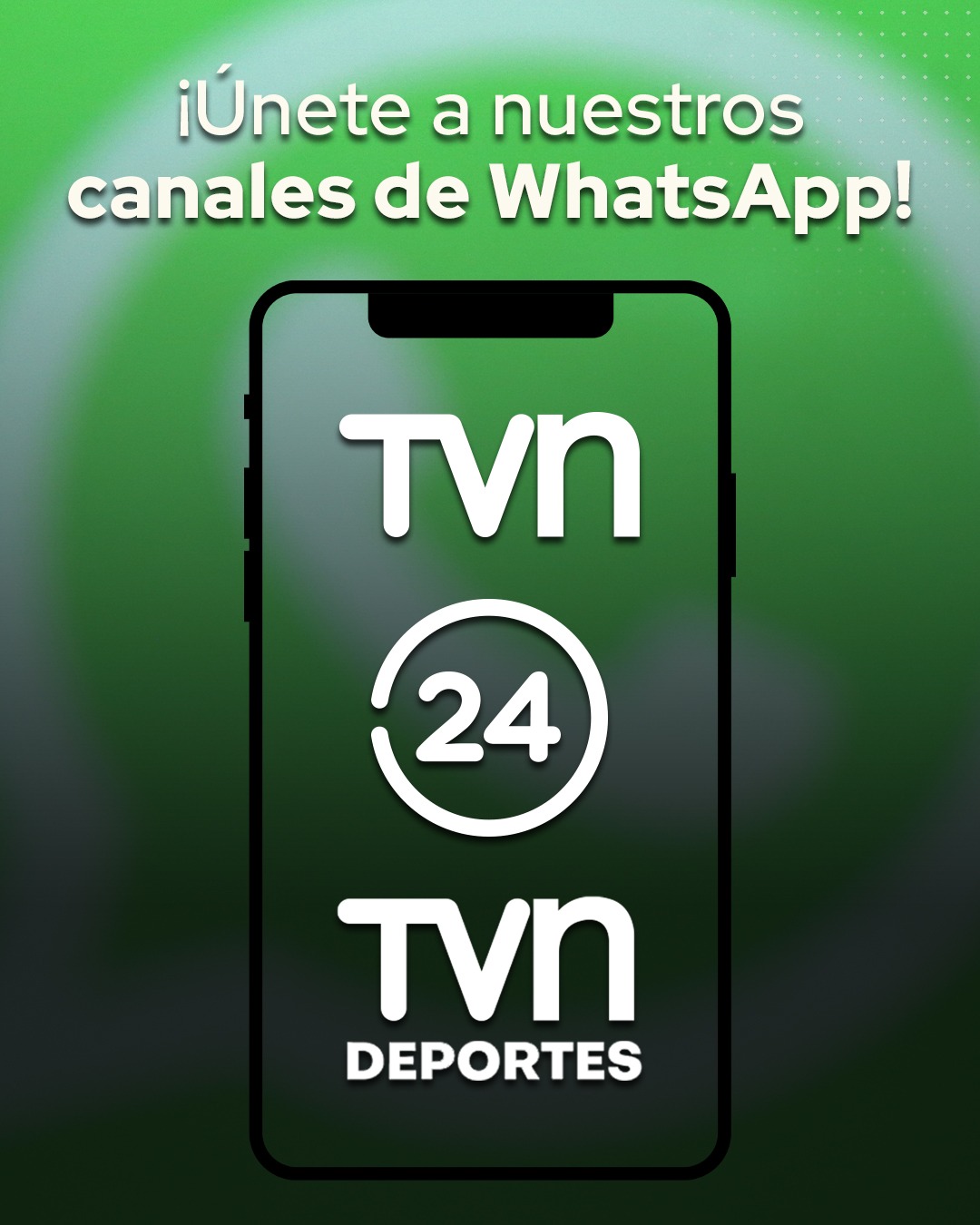 Canales de WhatsApp TVN y 24 Horas.