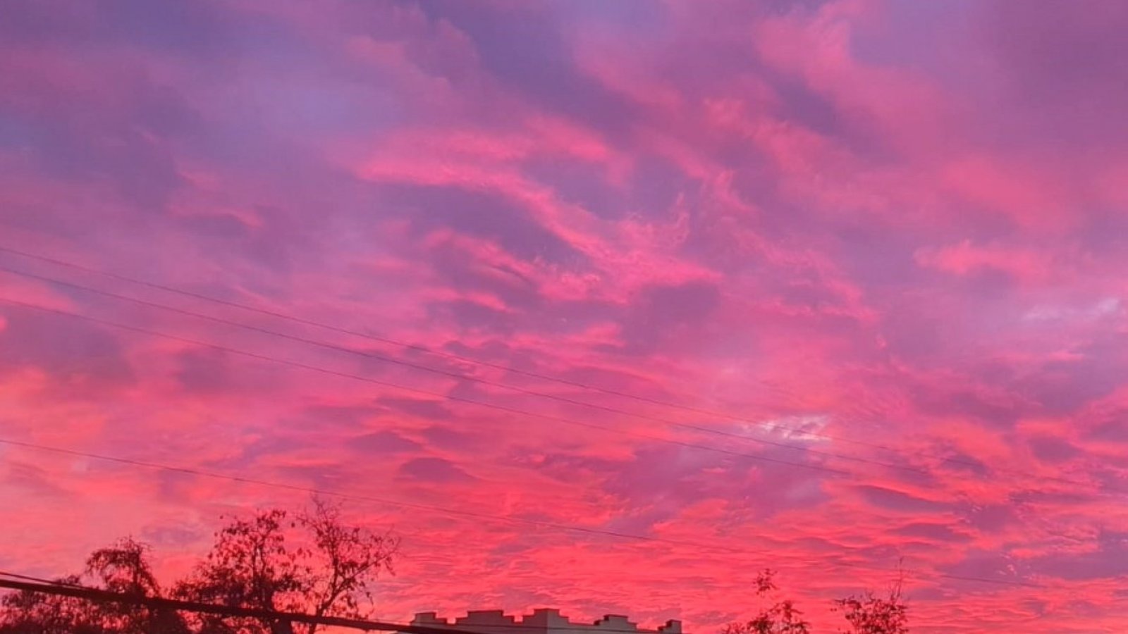 Iván Torres responde: ¿Por qué tenemos atardeceres rosados?
