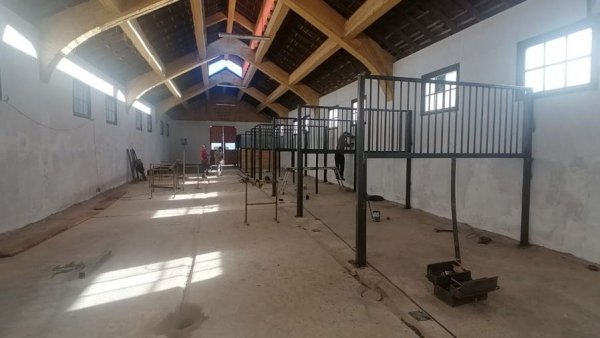 Sede ecuestre para Santiago 2023 será de estándares olímpicos