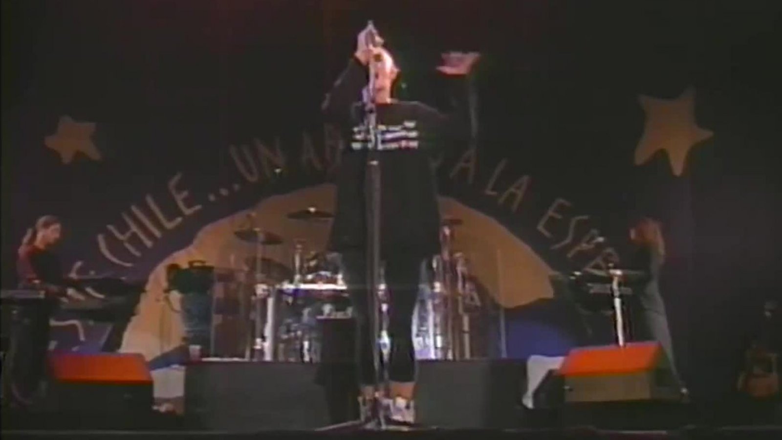 Así fue la presentación de Sinéad O'Connor en el el concierto de Amnistía Internacional en Chile
