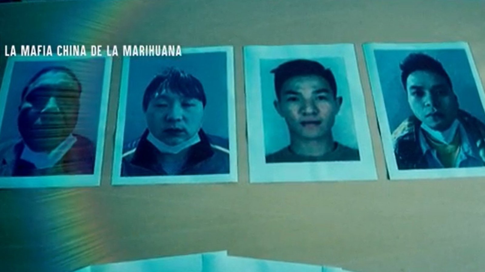 Informe Especial: La mafia China de la marihuana
