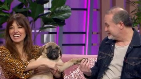 Bebés y cachorros, ¿se puede tener ambos?
