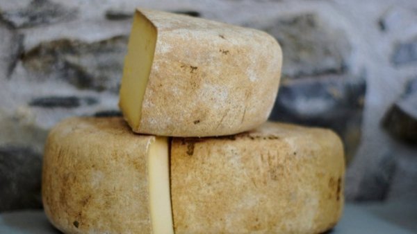 Empresario italiano muere al ser aplastado por 25.000 quesos Grana Padano
