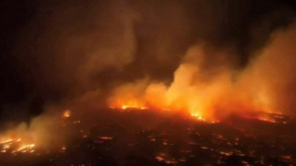Incendios forestales "sin precedentes" afectan a Hawaii
